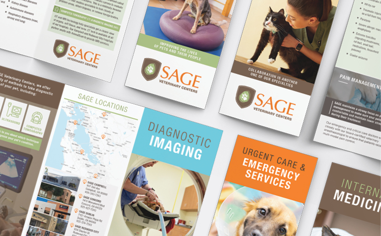 Set of Sage Tri-Fold Brochures
