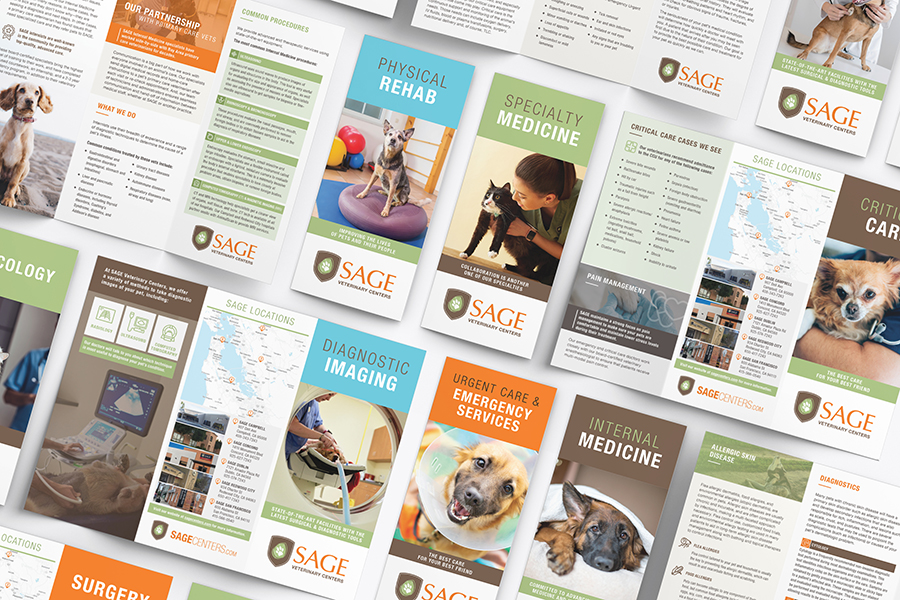 Set of Sage Tri-Fold Brochures