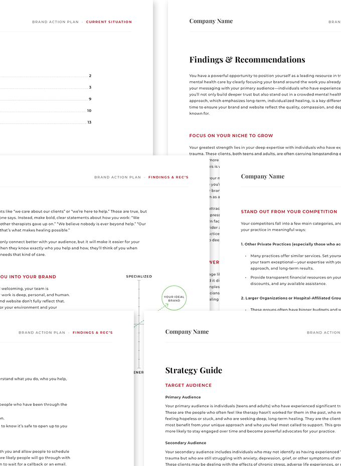 BrandActionPlan Example pages from a Brand Action Plan